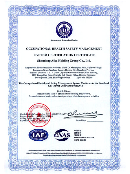 ISO 45001 Occupational Health and Safety Certificate
